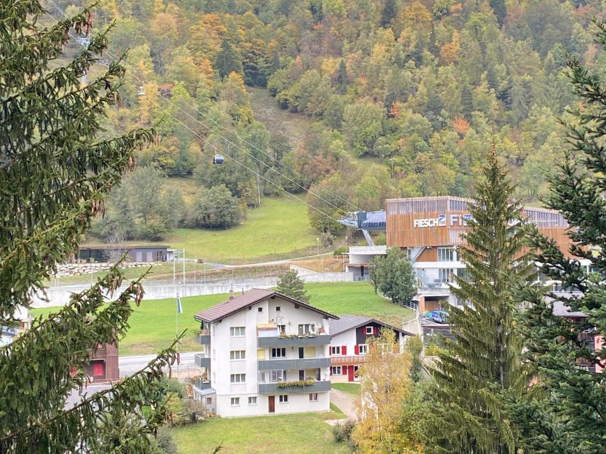 Hotel Lodge Inn Fiesch Kültér fotó